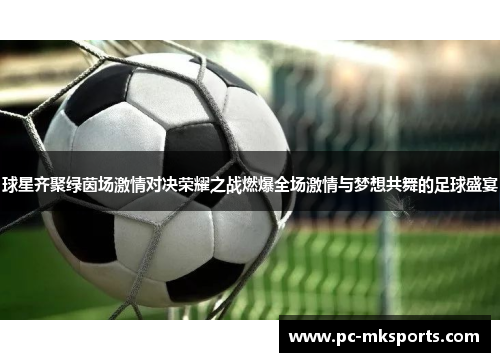 球星齐聚绿茵场激情对决荣耀之战燃爆全场激情与梦想共舞的足球盛宴